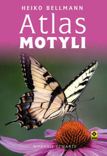 Atlas motyli